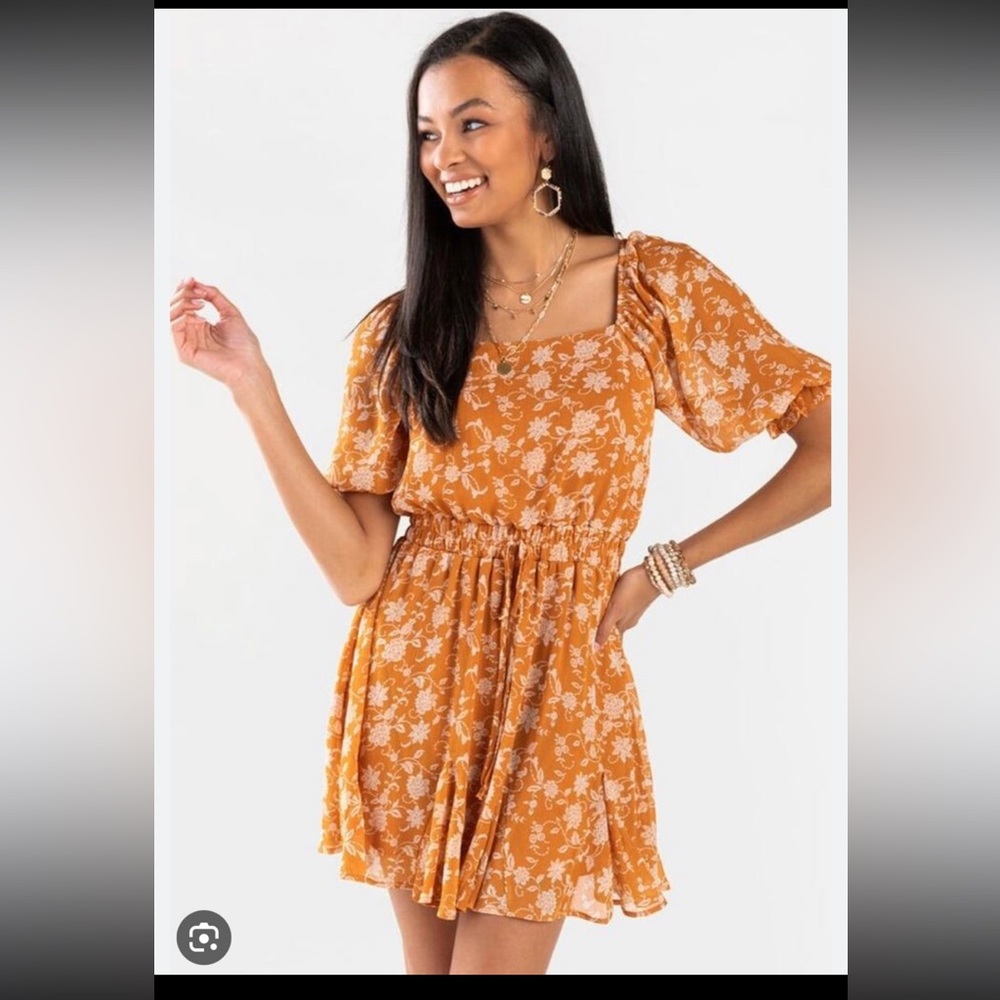 Francesca’s Dress
